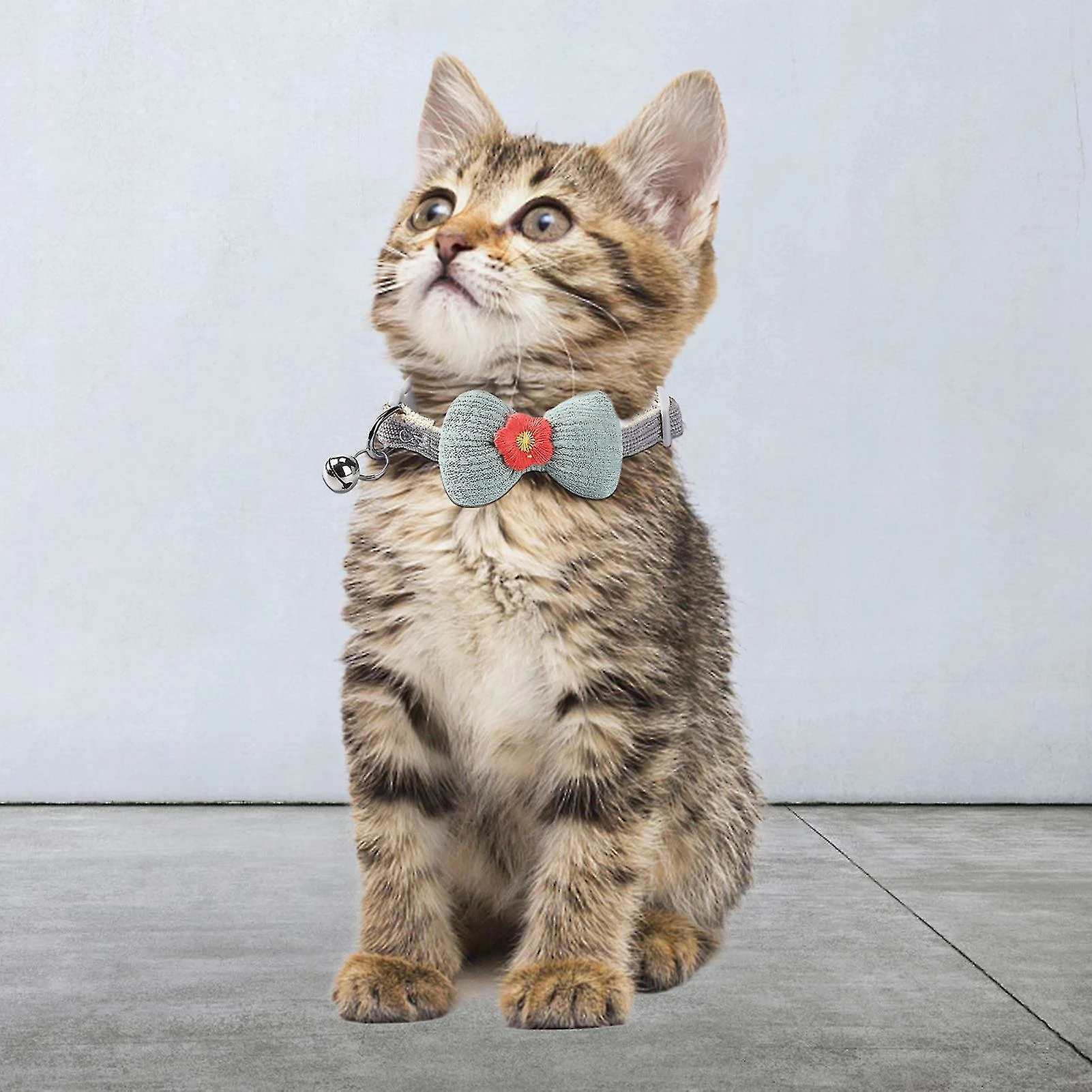 Unbranded Farfi Kitten Collar Lovely Bow Decor Daily Dress Up Neck Jewelry Pet Neck Accessory Small Dog Collar Avec Bell For Party 3 Unbranded Farfi Kitten Collar Lovely Bow Decor Daily Dress Up Neck Jewelry Pet Neck Accessory Small Dog Collar Avec Bell For Party – Image 3