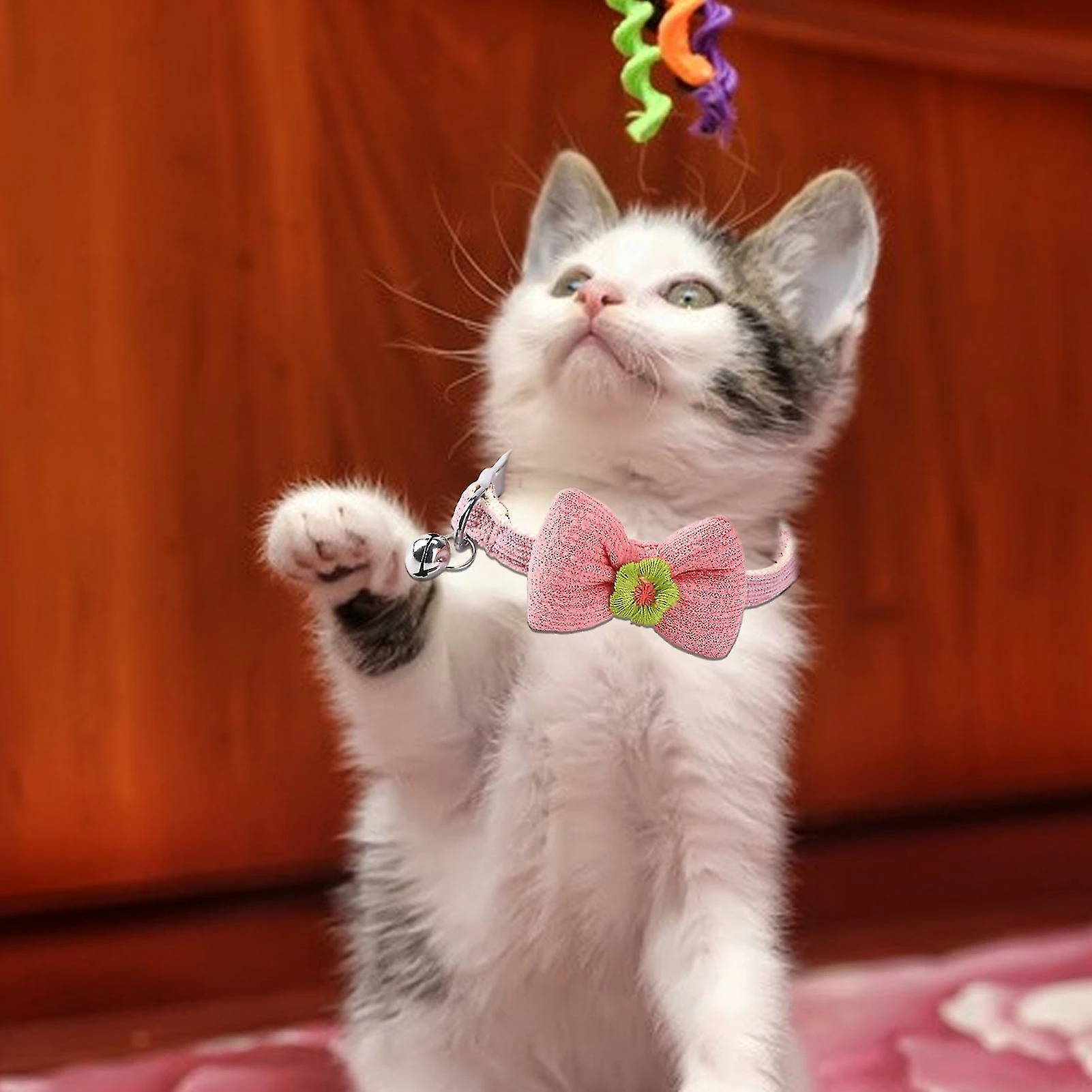 Unbranded Farfi Kitten Collar Lovely Bow Decor Daily Dress Up Neck Jewelry Pet Neck Accessory Small Dog Collar Avec Bell For Party 4 Unbranded Farfi Kitten Collar Lovely Bow Decor Daily Dress Up Neck Jewelry Pet Neck Accessory Small Dog Collar Avec Bell For Party – Image 4
