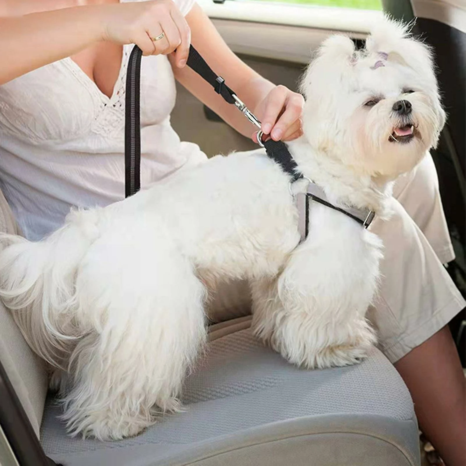 Unbranded Farfi Pet Belt Attaché Absorption Des Chocs Tightly Highly Reflective Heavy Duty Dog Leash Pour L’extérieur 2 Unbranded Farfi Pet Belt Attaché Absorption Des Chocs Tightly Highly Reflective Heavy Duty Dog Leash Pour L’extérieur – Image 2