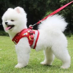 Unbranded Farfi Cartoon Impression Cat Dog Harness Traction Walking Rope Vest Gilet Strap Pet Supplies 6 Unbranded Farfi Cartoon Impression Cat Dog Harness Traction Walking Rope Vest Gilet Strap Pet Supplies -nourriture pour chien boutique 814246114 max