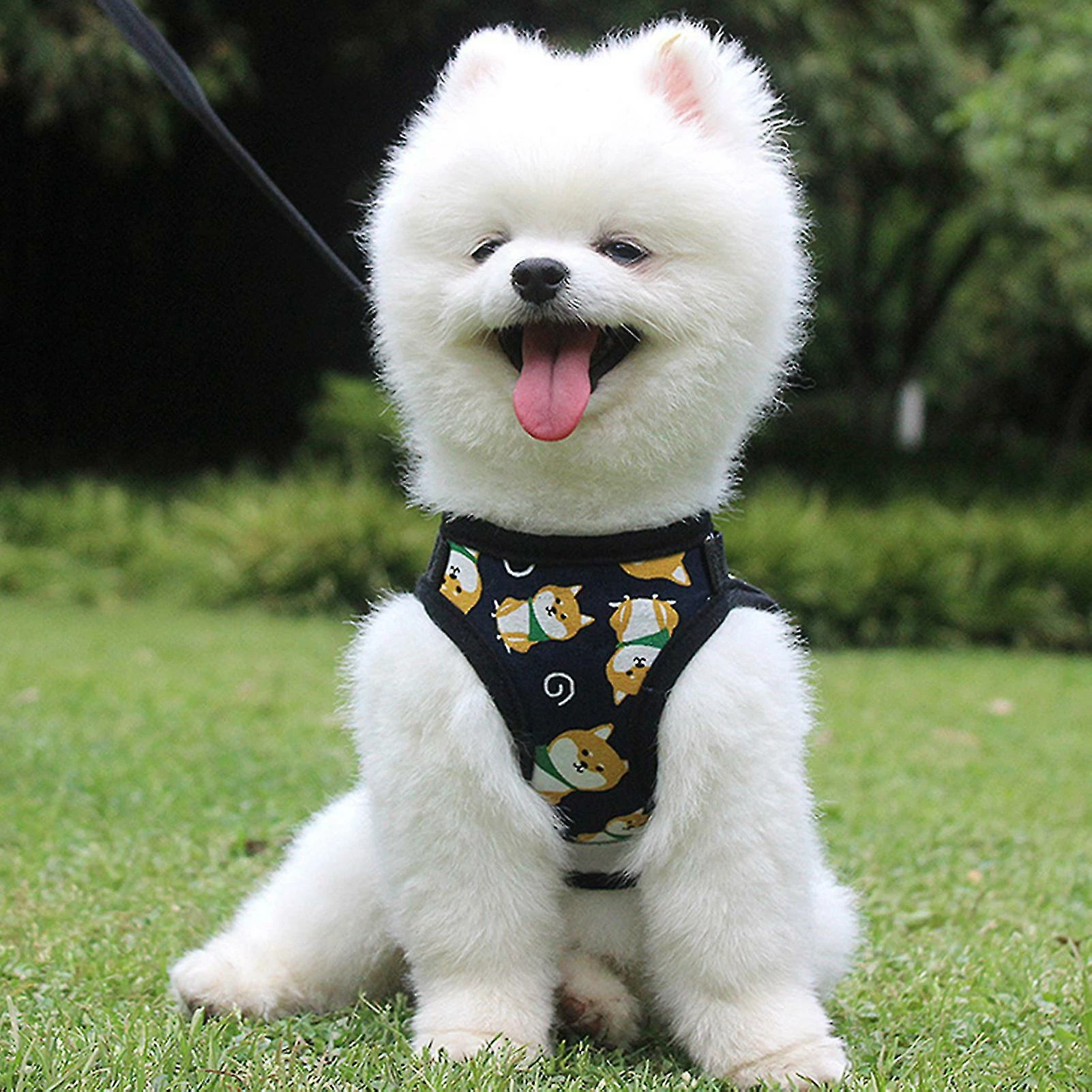 Unbranded Farfi Cartoon Impression Cat Dog Harness Traction Walking Rope Vest Gilet Strap Pet Supplies 3 Unbranded Farfi Cartoon Impression Cat Dog Harness Traction Walking Rope Vest Gilet Strap Pet Supplies – Image 3