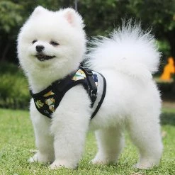 Unbranded Farfi Cartoon Impression Cat Dog Harness Traction Walking Rope Vest Gilet Strap Pet Supplies 8 Unbranded Farfi Cartoon Impression Cat Dog Harness Traction Walking Rope Vest Gilet Strap Pet Supplies -nourriture pour chien boutique 814246508 max