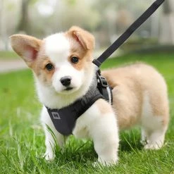Unbranded Farfi Pet Harness Main Portant Antidéflagrant Strong Bearing Pull Réglable Naughty Dog Vest Safety Leash Pour Park -nourriture pour chien boutique 814248867 max