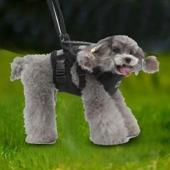 Unbranded Farfi Pet Harness Main Portant Antidéflagrant Strong Bearing Pull Réglable Naughty Dog Vest Safety Leash Pour Park -nourriture pour chien boutique 814249127 max