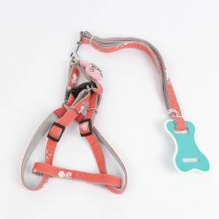 Unbranded Farfi Dog Traction Rope Tear Resistant Réglable Anti-perdu Adorable Rabbit Decor Pet Puppy Harness For Outdoor 8 Unbranded Farfi Dog Traction Rope Tear Resistant Réglable Anti-perdu Adorable Rabbit Decor Pet Puppy Harness For Outdoor -nourriture pour chien boutique 814250275 max