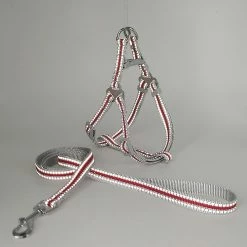 Unbranded Farfi Réglable Réfléchissant Pet Dog Harness Vest Leash Nylon Walking Traction Rope 8 Unbranded Farfi Réglable Réfléchissant Pet Dog Harness Vest Leash Nylon Walking Traction Rope -nourriture pour chien boutique 814253521 max