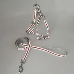 Unbranded Farfi Réglable Réfléchissant Pet Dog Harness Vest Leash Nylon Walking Traction Rope 9 Unbranded Farfi Réglable Réfléchissant Pet Dog Harness Vest Leash Nylon Walking Traction Rope -nourriture pour chien boutique 814253721 max