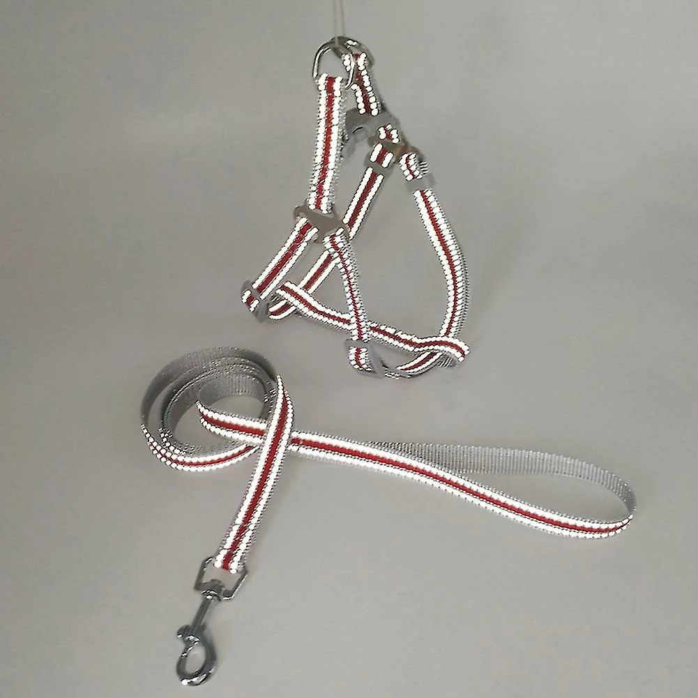 Unbranded Farfi Réglable Réfléchissant Pet Dog Harness Vest Leash Nylon Walking Traction Rope 5 Unbranded Farfi Réglable Réfléchissant Pet Dog Harness Vest Leash Nylon Walking Traction Rope – Image 5