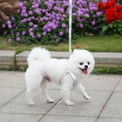 Unbranded Farfi Traction Rope Réglable Résistant à L’usure Faux Cuir Pet Dog Chest Strap Pour La Marche -nourriture pour chien boutique 814253915 max