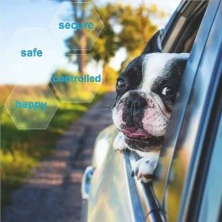 Unbranded Farfi Nouveau Réglable Pet Dog Car Sécurité Ceinture De Sécurité Retenue Laisse Marche Corde Ferme -nourriture pour chien boutique 814255696 max