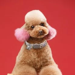 Unbranded Farfi Dog Collar Adjustable Dress Up Soft Flower Print Bell Cat Collar Dog Supplies 7 Unbranded Farfi Dog Collar Adjustable Dress Up Soft Flower Print Bell Cat Collar Dog Supplies -nourriture pour chien boutique 814260634 max