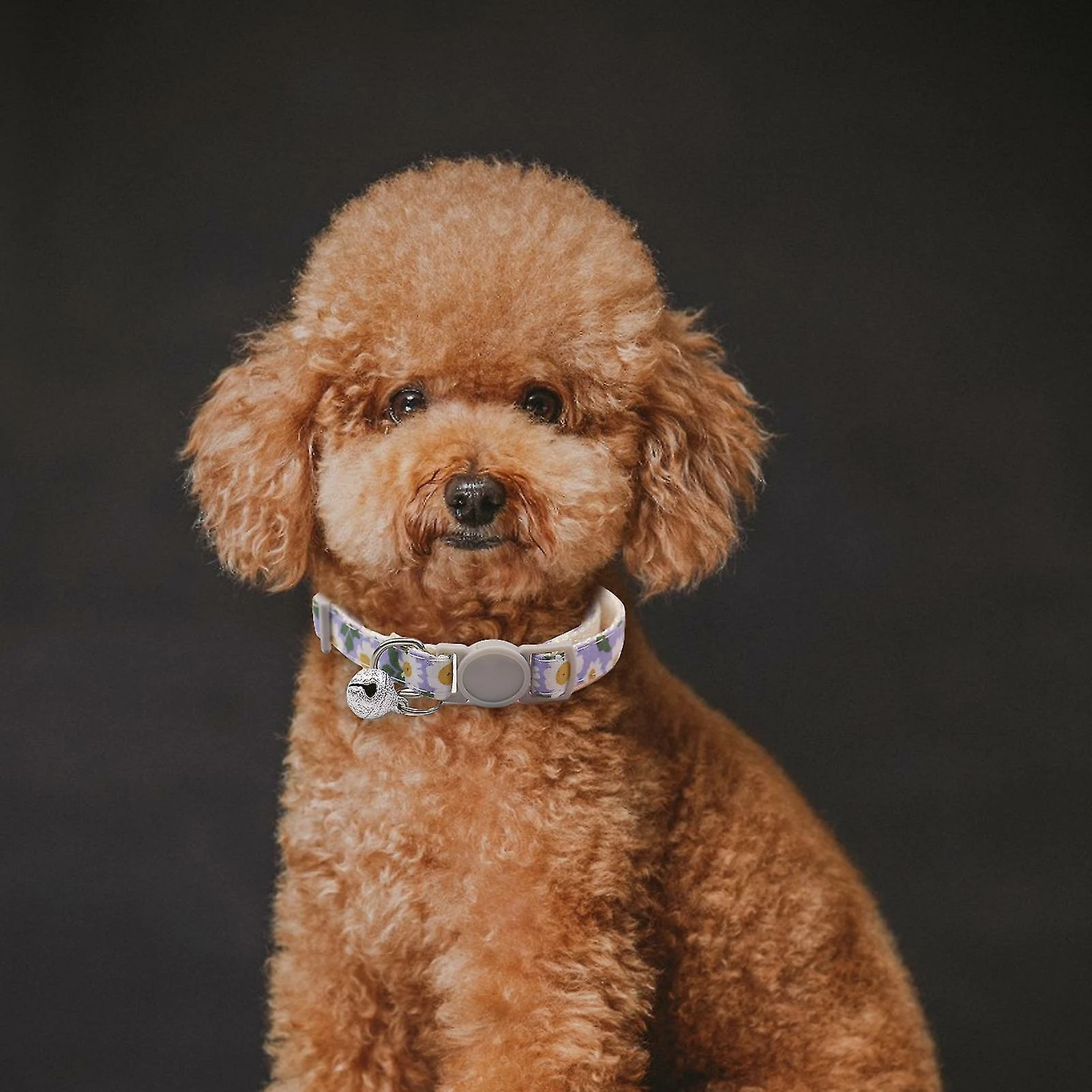 Unbranded Farfi Dog Collar Adjustable Dress Up Soft Flower Print Bell Cat Collar Dog Supplies 4 Unbranded Farfi Dog Collar Adjustable Dress Up Soft Flower Print Bell Cat Collar Dog Supplies – Image 4