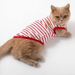 Unbranded Lovely Dog Vest Pour Small Medium Large Dogs Soft Sweatshirt Pour Pet Dog 8 Unbranded Lovely Dog Vest Pour Small Medium Large Dogs Soft Sweatshirt Pour Pet Dog -nourriture pour chien boutique 837672569 max