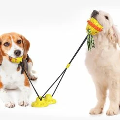 Unbranded Pet Dog Molar Toy Tug Rope Toothbrush Chewing Ball Suce Cup Detal Care Tooth Cleaning -nourriture pour chien boutique 837673361 max
