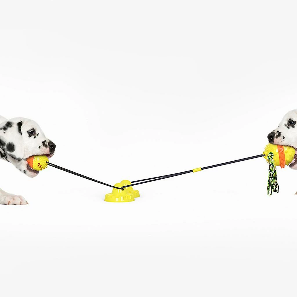 Unbranded Pet Dog Molar Toy Tug Rope Toothbrush Chewing Ball Suce Cup Detal Care Tooth Cleaning 4 Unbranded Pet Dog Molar Toy Tug Rope Toothbrush Chewing Ball Suce Cup Detal Care Tooth Cleaning – Image 4