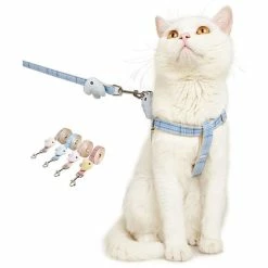 Unbranded Dog Collar Traction Rope Small Dog Teddy Retriever Pet Collar Attached Heart -nourriture pour chien boutique 837674048 max