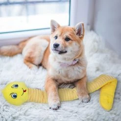 Unbranded Dog Snuffle Peluche Snake Squeak Toy Pour Chiens Interactive Foraging Chew Toy -nourriture pour chien boutique 837675541 max