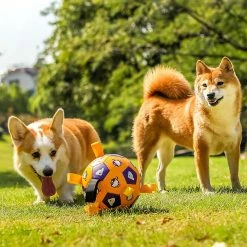 Unbranded Jouet De Ballon De Football Pour Chiots Dog Outdoor Training Interactive Pet Chew Dog Toy -nourriture pour chien boutique 837676532 max