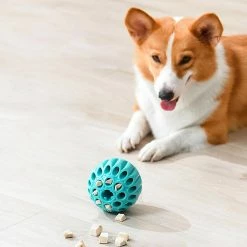 Unbranded Fuite Food Ball Dog Molar Ball Dog Toy Ball Treat Dispensing Dog Toy -nourriture pour chien boutique 837676555 max