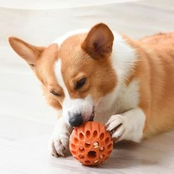 Unbranded Fuite Food Ball Dog Molar Ball Dog Toy Ball Treat Dispensing Dog Toy -nourriture pour chien boutique 837676706 max