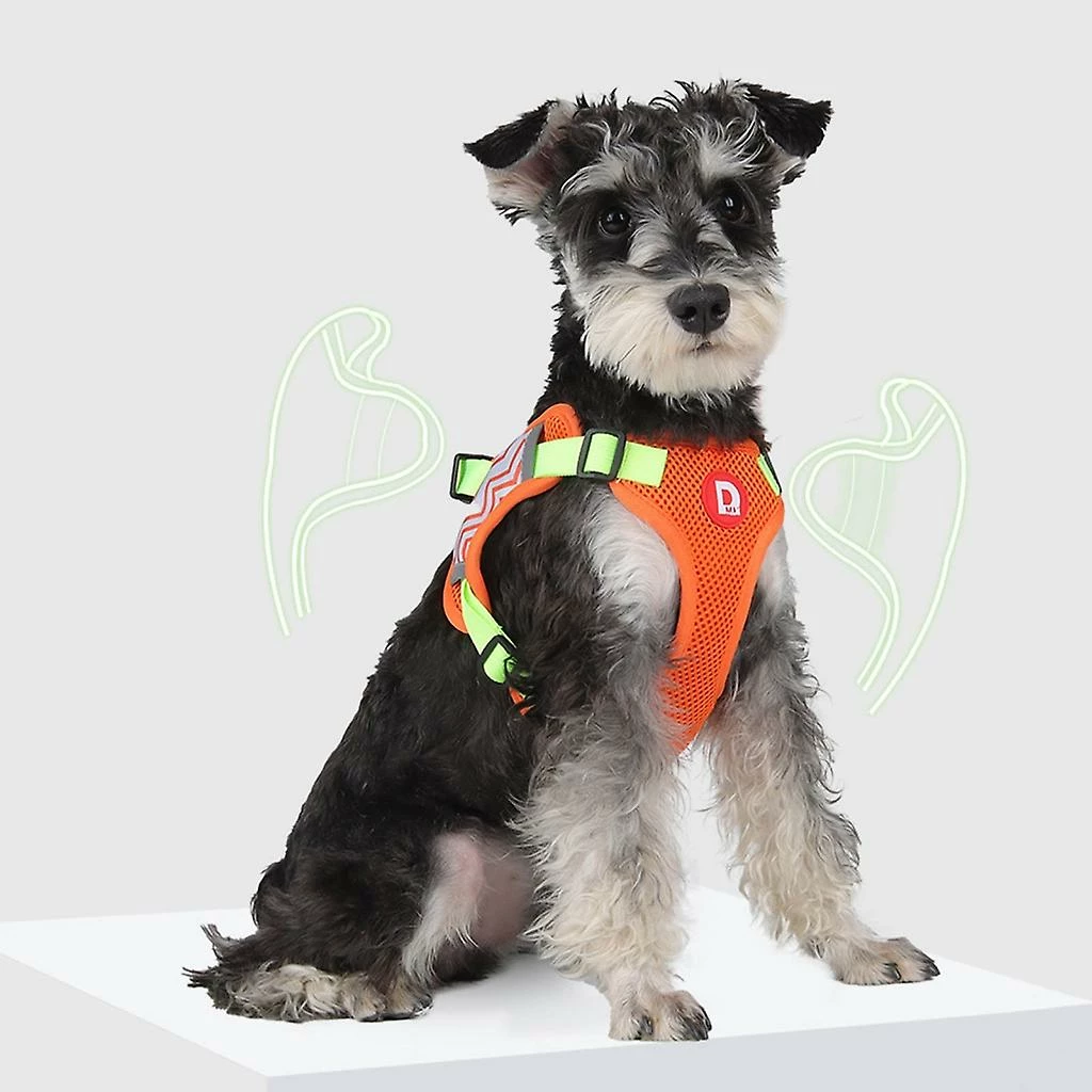 Unbranded Chiens Harnais Pet Chest Leash Dog Walking Running Rope Harness Dog Walking Gear 4 Unbranded Chiens Harnais Pet Chest Leash Dog Walking Running Rope Harness Dog Walking Gear – Image 4