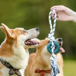 Unbranded Dog Molar Toy Interactive Chasing Toy Prevent Obesity Tug Game -nourriture pour chien boutique 837677444 max