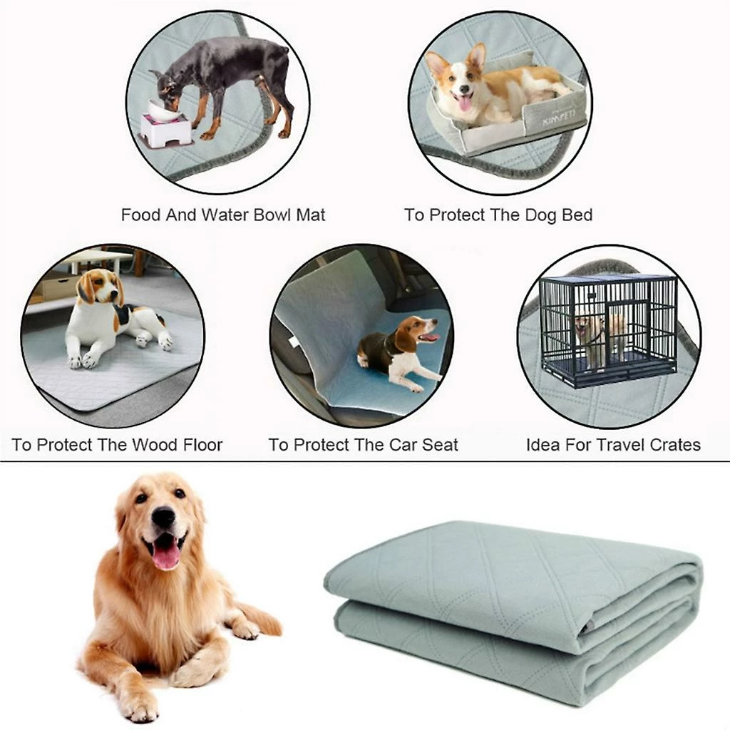 Unbranded Dog Pee Pad Couverture Réutilisable Absorbant Couche Lavable Puppy Training Pad 2 Unbranded Dog Pee Pad Couverture Réutilisable Absorbant Couche Lavable Puppy Training Pad – Image 2