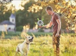 Mysight Dog Ball Border Collie Toys Dog Training Special Ball Pet Ball -nourriture pour chien boutique 846418098 max