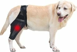 Unbranded Attelle De Genou De Chien Attelle De Jambe De Chien Pour Déchiré Acl Patte Arrière Chien Hip Support Brace, Dog Acl Knee Brace Réglable