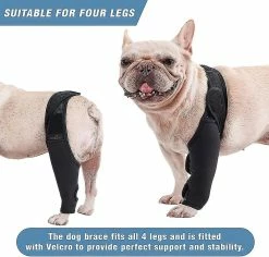 Unbranded Attelle De Genou De Chien Attelle De Jambe De Chien Pour Déchiré Acl Patte Arrière Chien Hip Support Brace, Dog Acl Knee Brace Réglable -nourriture pour chien boutique 846527744 max