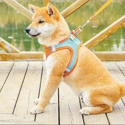 Unbranded Pet Dog Cat Harness Puppy Kitten Réglable Reflective Breathable Vest Harness (1 Pièce, Orange -nourriture pour chien boutique 846685702 max