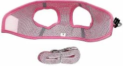 Unbranded Soft Training Harness Vest Mesh Tissu Dog Vest Harnesses For Puppy, Cats, Small Animals Ps042 (, Rose) -nourriture pour chien boutique 846769733 max