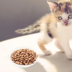 Unbranded 2pcs Dog Bowl 4 Unbranded 2pcs Dog Bowl -nourriture pour chien boutique 853964544 max